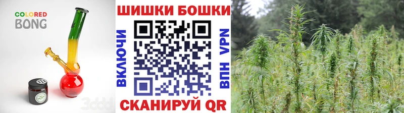 Где можно купить наркотики Пошехонье Метамфетамин  Бошки Шишки  мега зеркало  ГАШ  А ПВП  Меф мяу мяу 